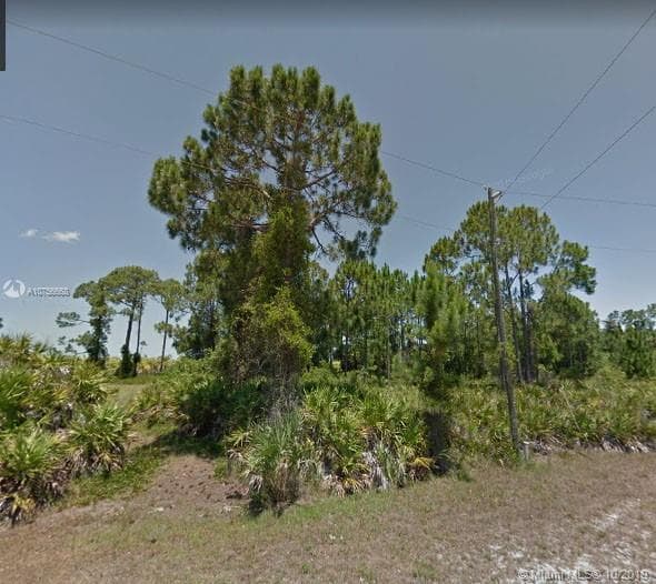 12181 Green Gulf Blvd, Punta Gorda, FL 33955 — zdjęcie 3