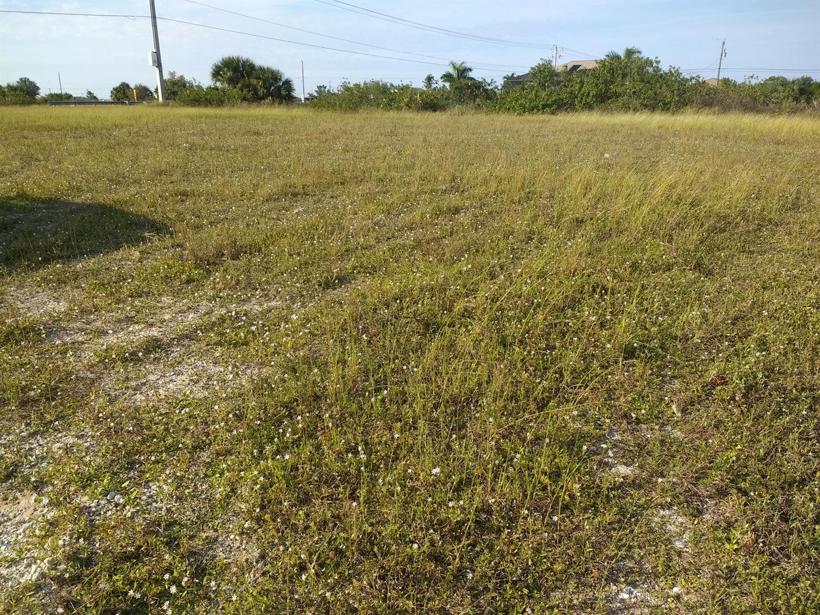 725 NW 8th Terrace, Cape Coral, FL 33993 — zdjęcie 3