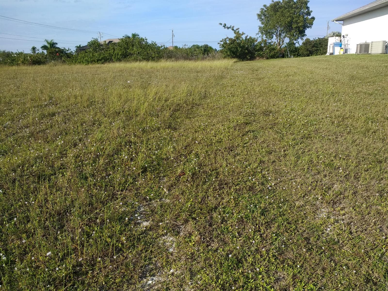 725 NW 8th Terrace, Cape Coral, FL 33993 — zdjęcie 4