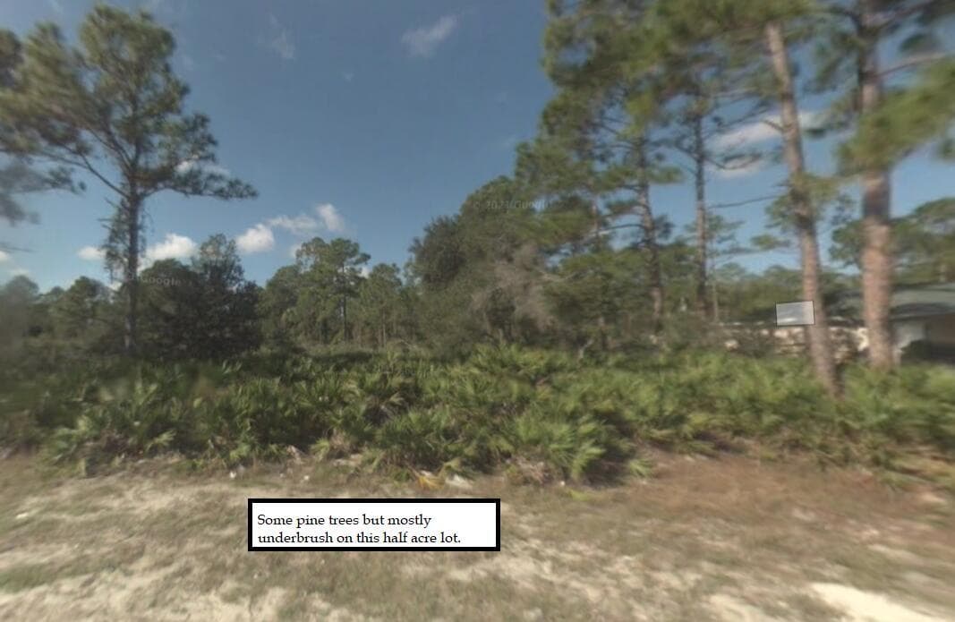 2309 Johns Avenue, FL 33920 — zdjęcie 5