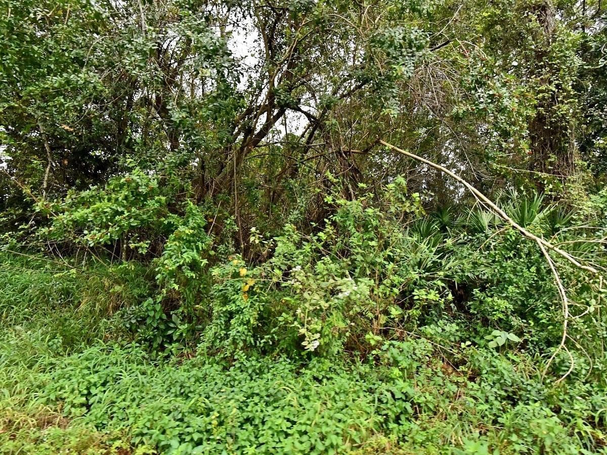 AVENUE S Avenue, Fort Pierce, FL 34947 — zdjęcie 2