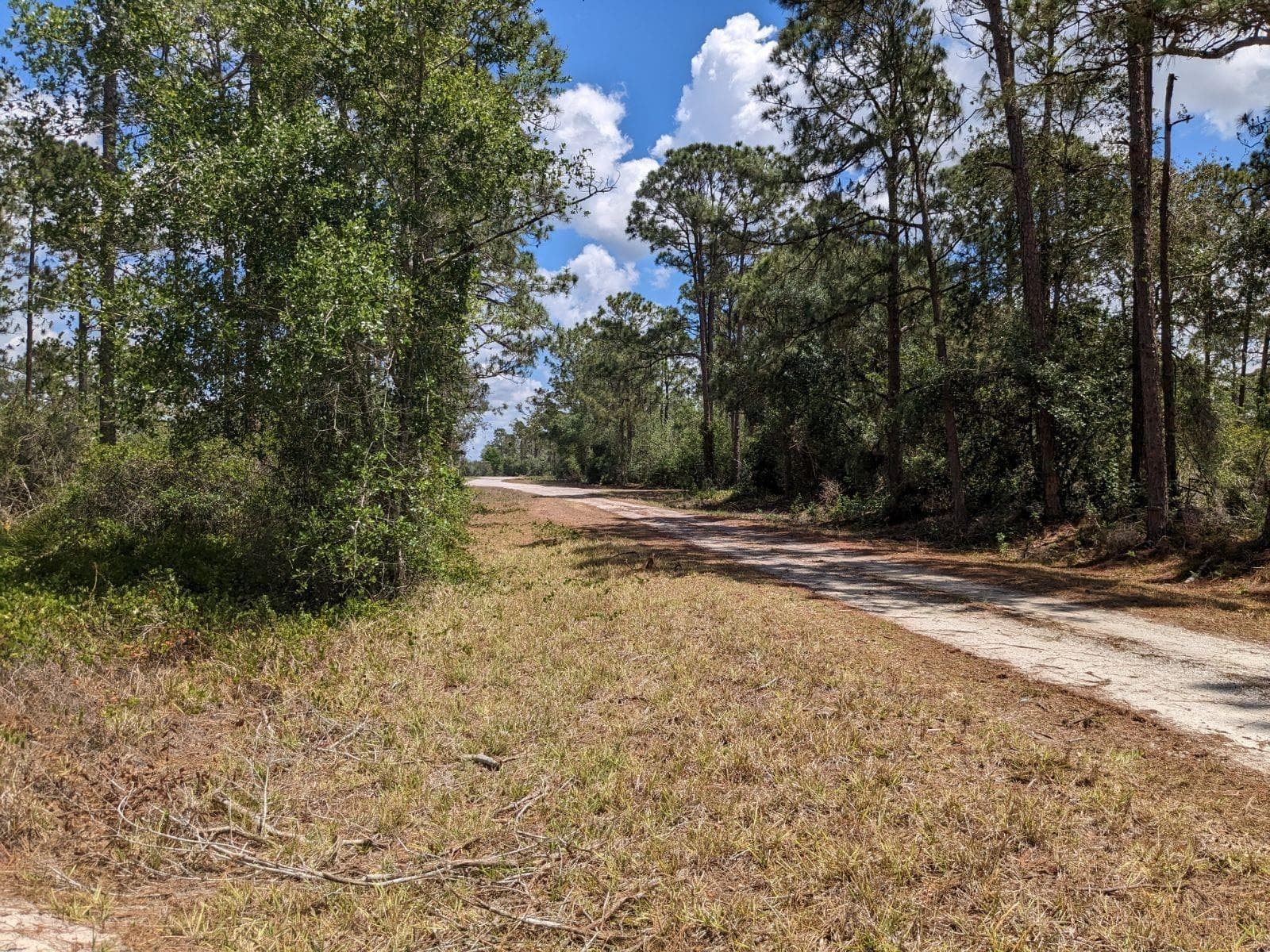 430 Apple Blossom Avenue, Lake Placid, FL 33852 — zdjęcie 2