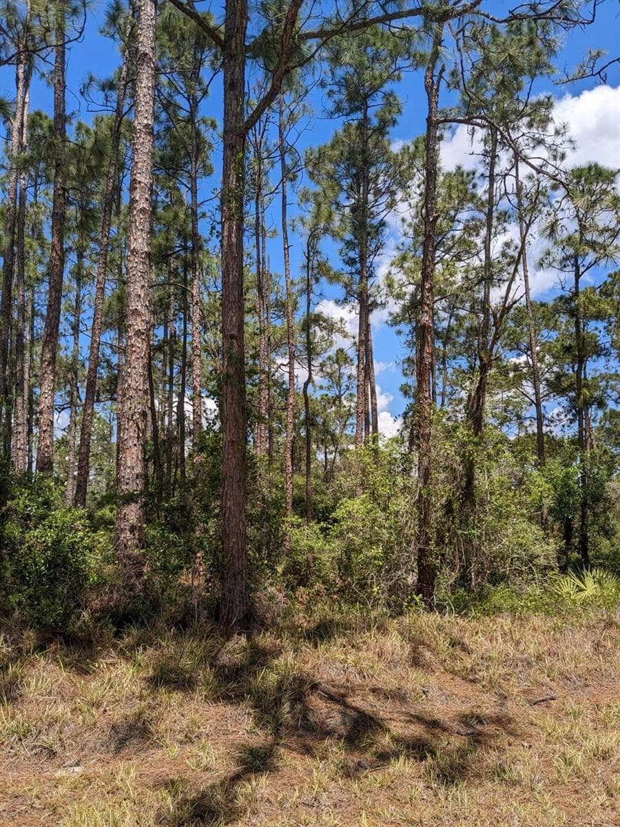 430 Apple Blossom Avenue, Lake Placid, FL 33852 — zdjęcie 3