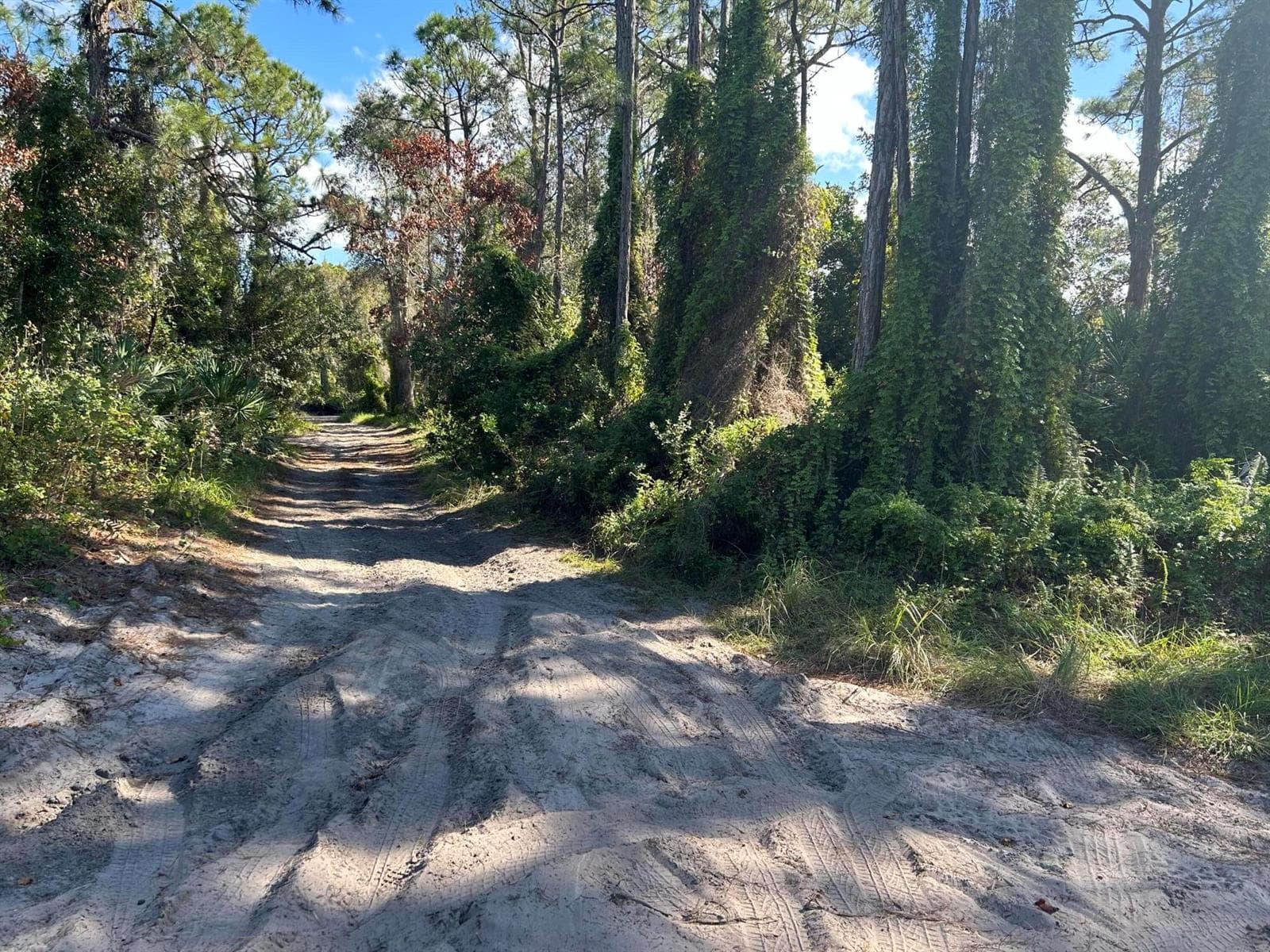 0 Slash Pine Trail, Fort Pierce, FL 34945 — zdjęcie 2