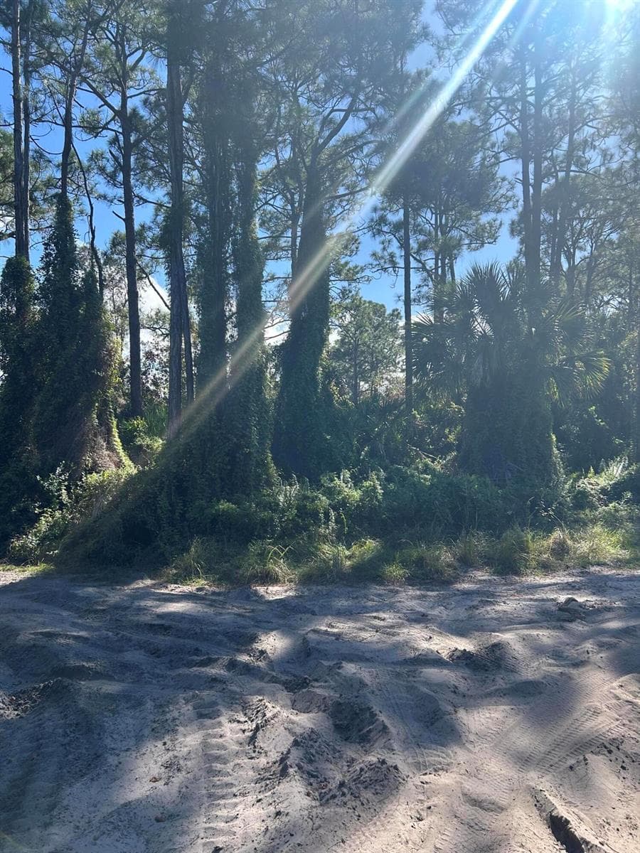 0 Slash Pine Trail, Fort Pierce, FL 34945 — zdjęcie 3