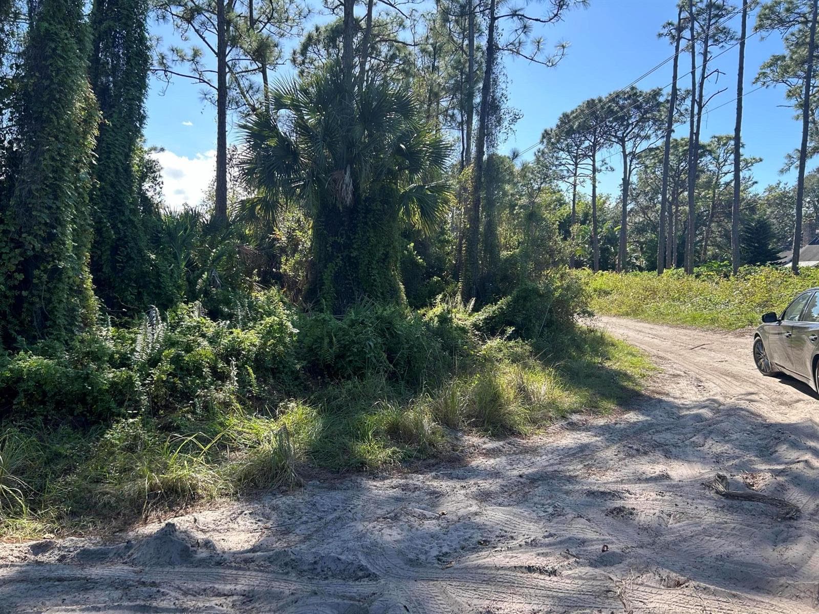 0 Slash Pine Trail, Fort Pierce, FL 34945 — zdjęcie 4