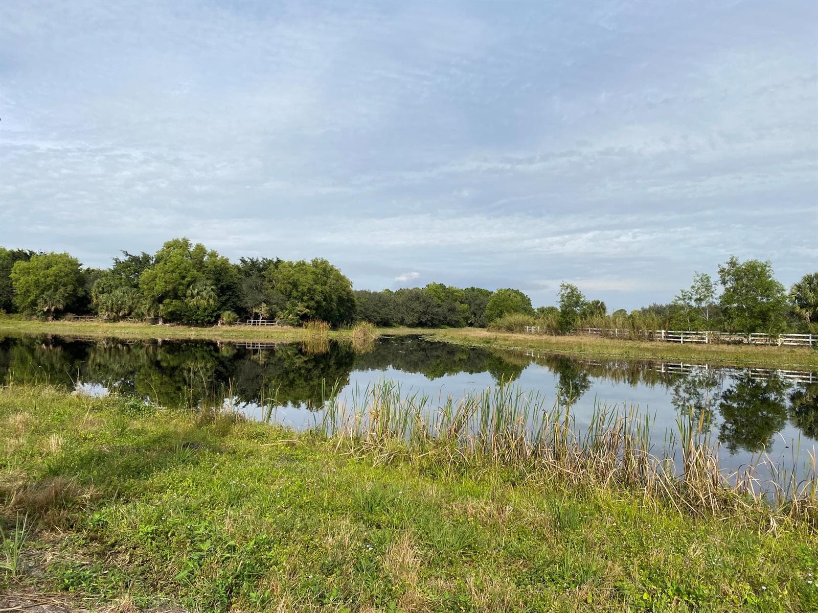 17755 Fox Trail Lane, Loxahatchee, FL 33470 — zdjęcie 4