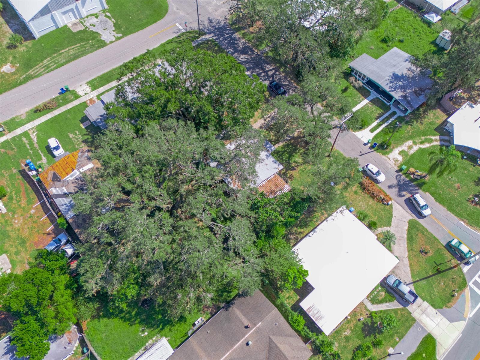 657 Ave C SW, Winter Haven, FL 33880 — zdjęcie 4