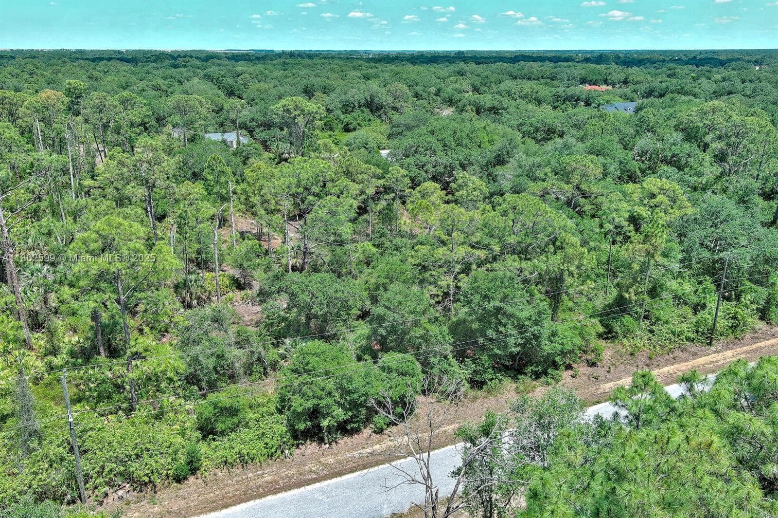 1908 MCARTHUR AVE, Lehigh Acres, FL 33972 — zdjęcie 4