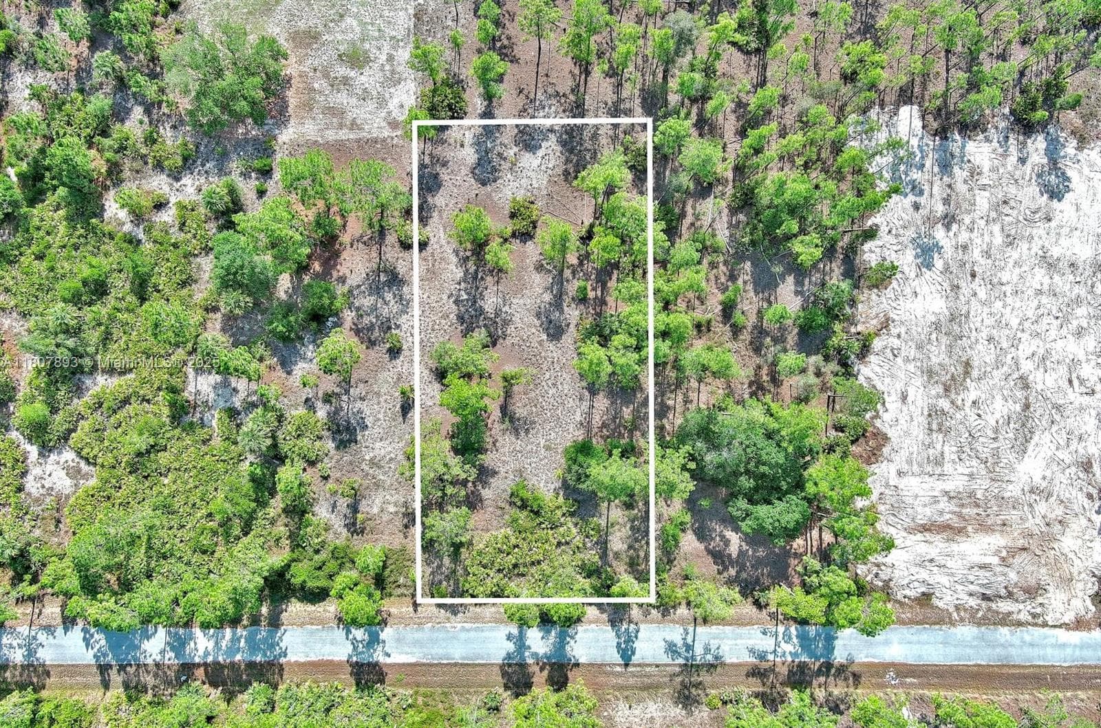 317 Fitch Ave, Lehigh Acres, FL 33936 — zdjęcie 2