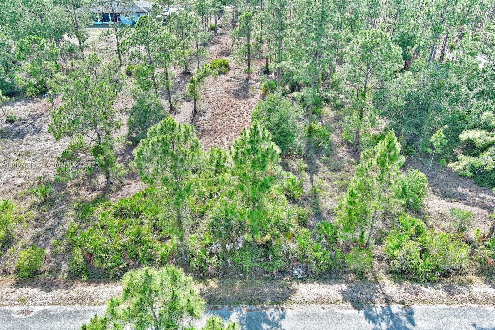 317 Fitch Ave, Lehigh Acres, FL 33936 — zdjęcie 3