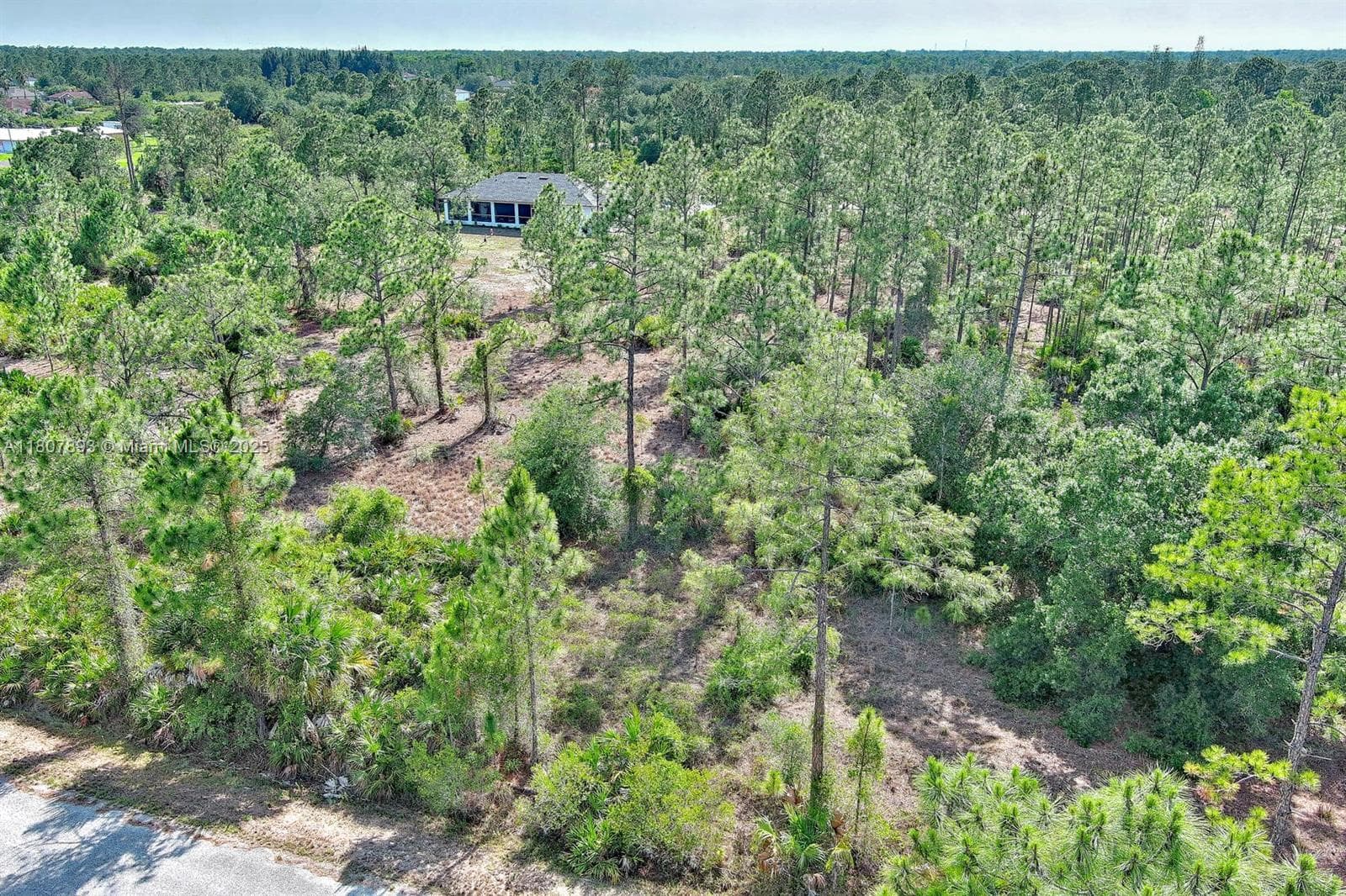317 Fitch Ave, Lehigh Acres, FL 33936 — zdjęcie 5