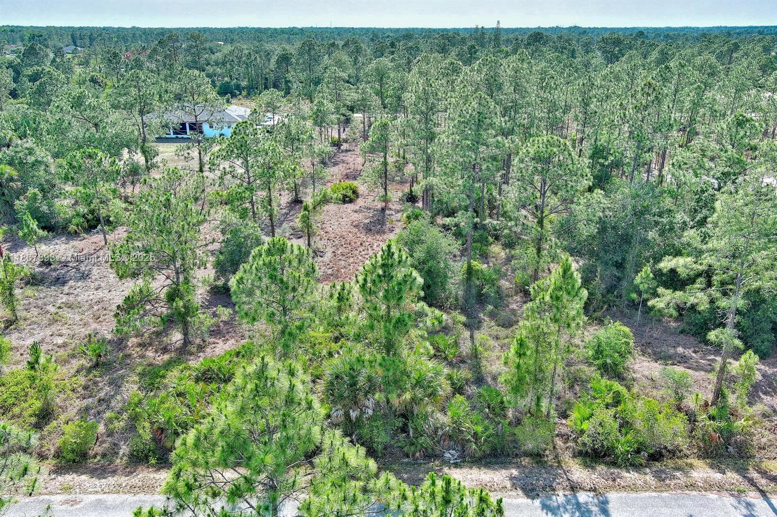 317 Fitch Ave, Lehigh Acres, FL 33936 — zdjęcie 4