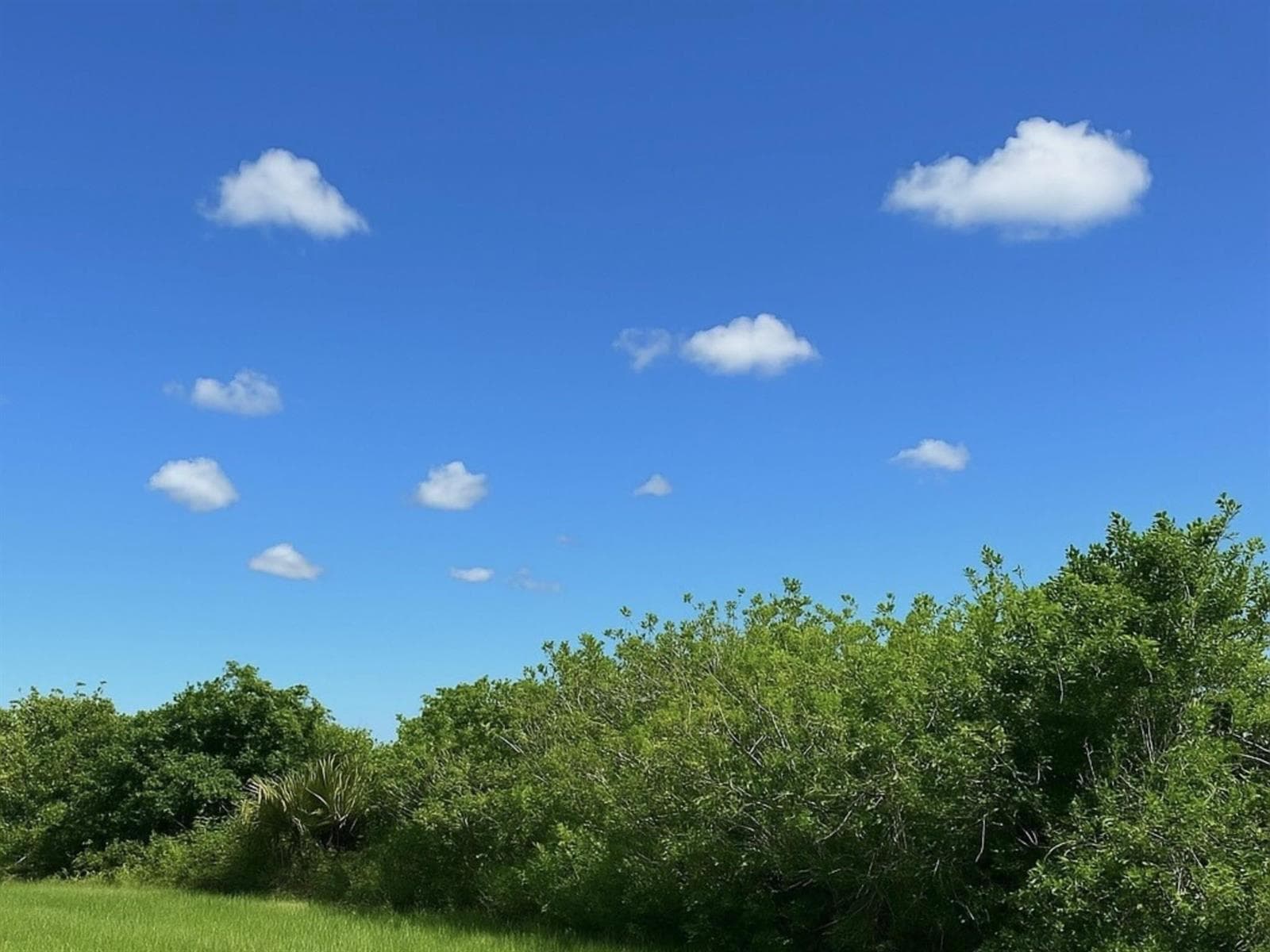 6617 SE 26th Trail, Okeechobee, FL 34974 — zdjęcie 2