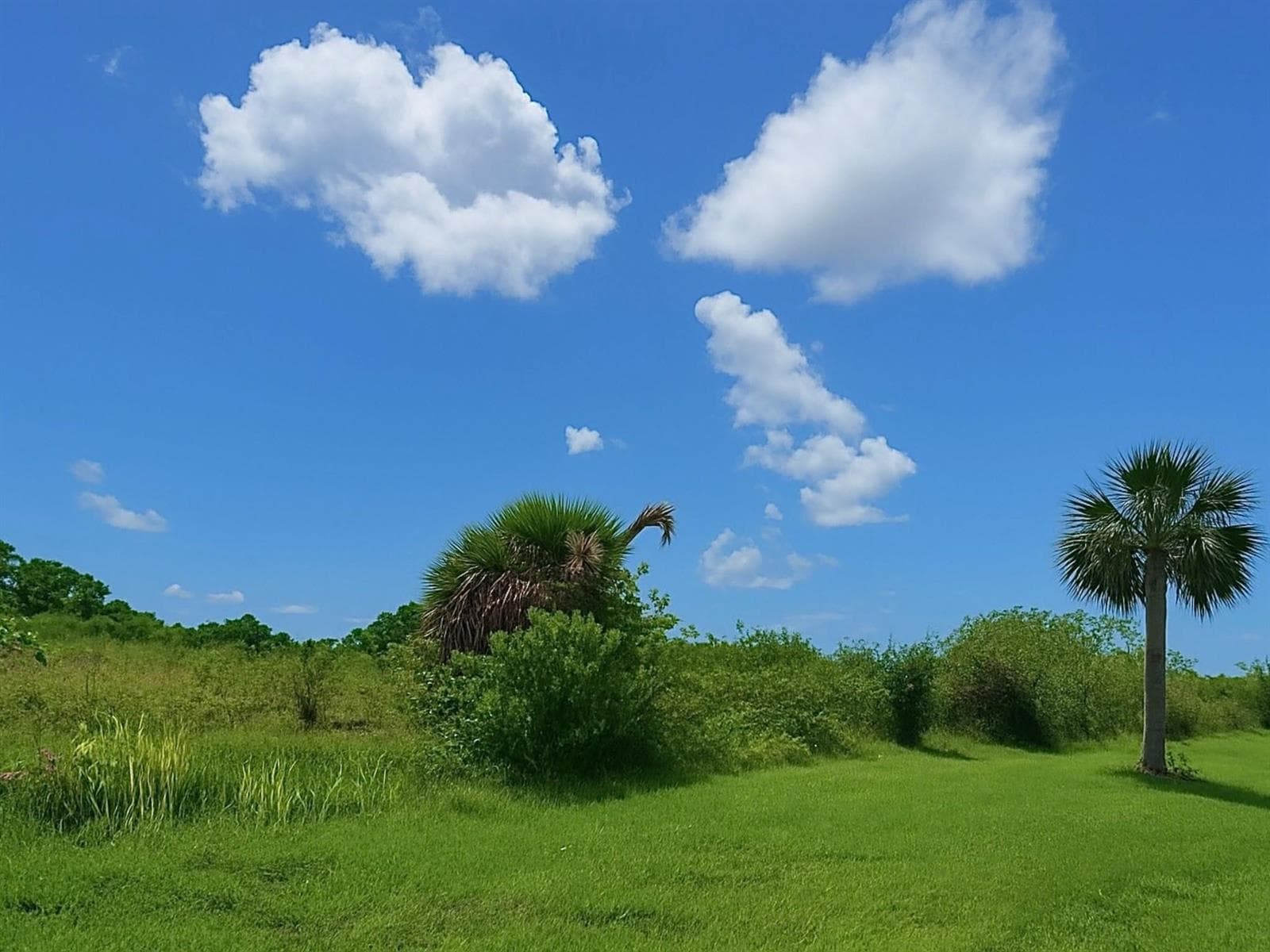 6617 SE 26th Trail, Okeechobee, FL 34974 — zdjęcie 4
