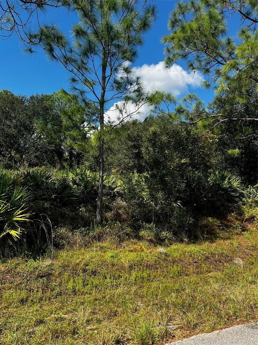 1221 Hamilton Avenue, Lehigh Acres, FL 33972 — zdjęcie 3