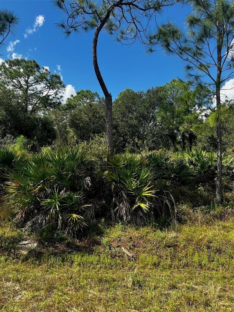 1221 Hamilton Avenue, Lehigh Acres, FL 33972 — zdjęcie 4