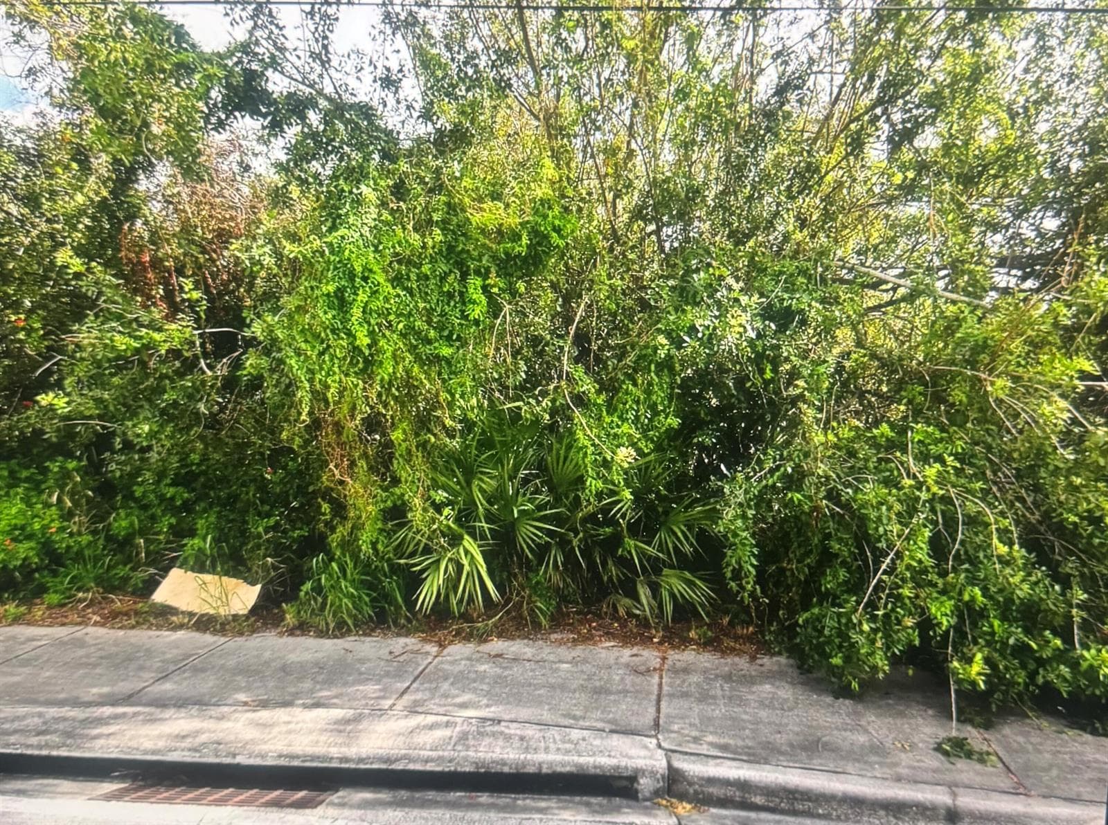 0 N 25th Street, Fort Pierce, FL 34947 — zdjęcie 2