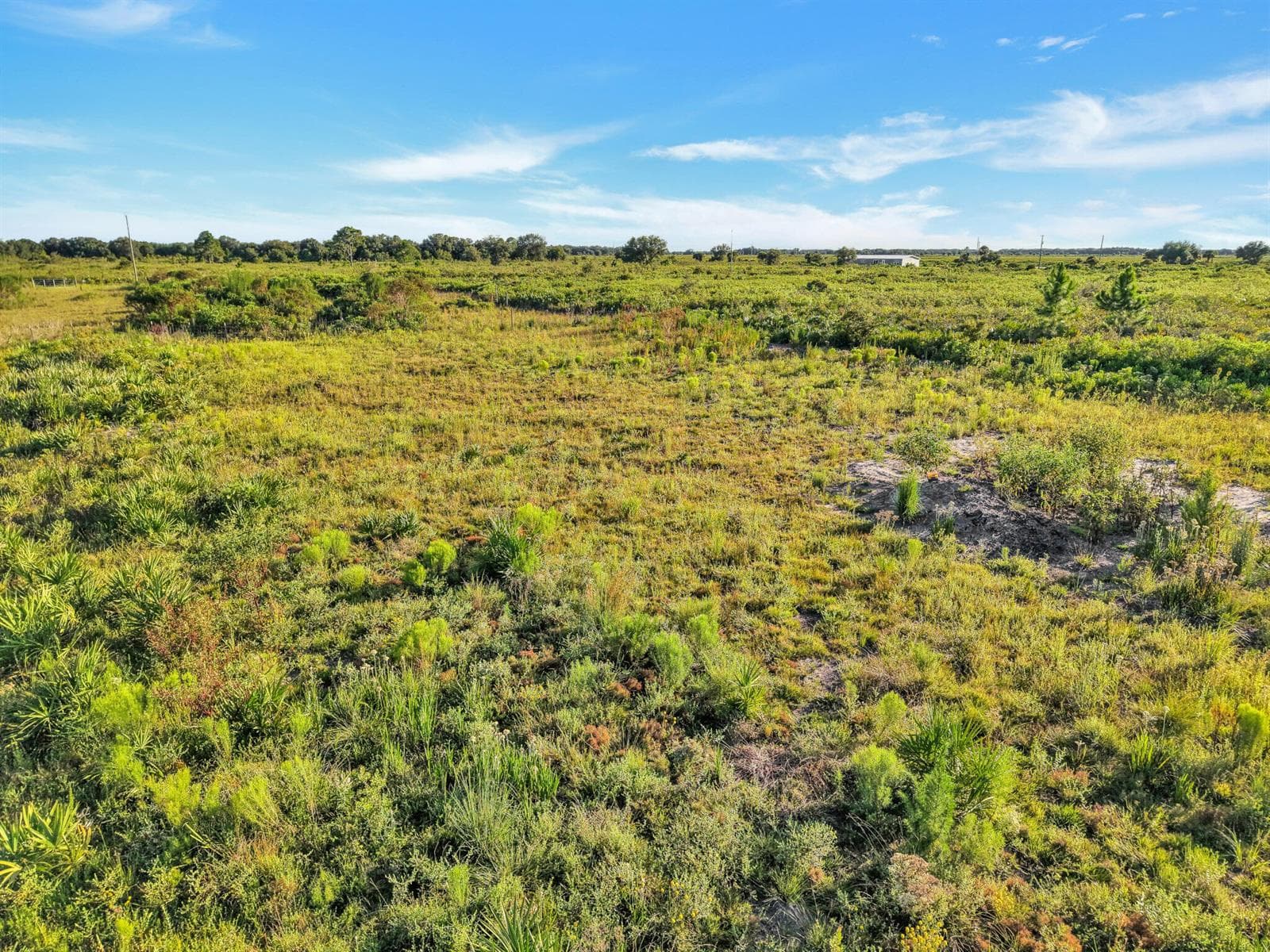 22184 NW 278th Street, Okeechobee, FL 34972 — zdjęcie 2