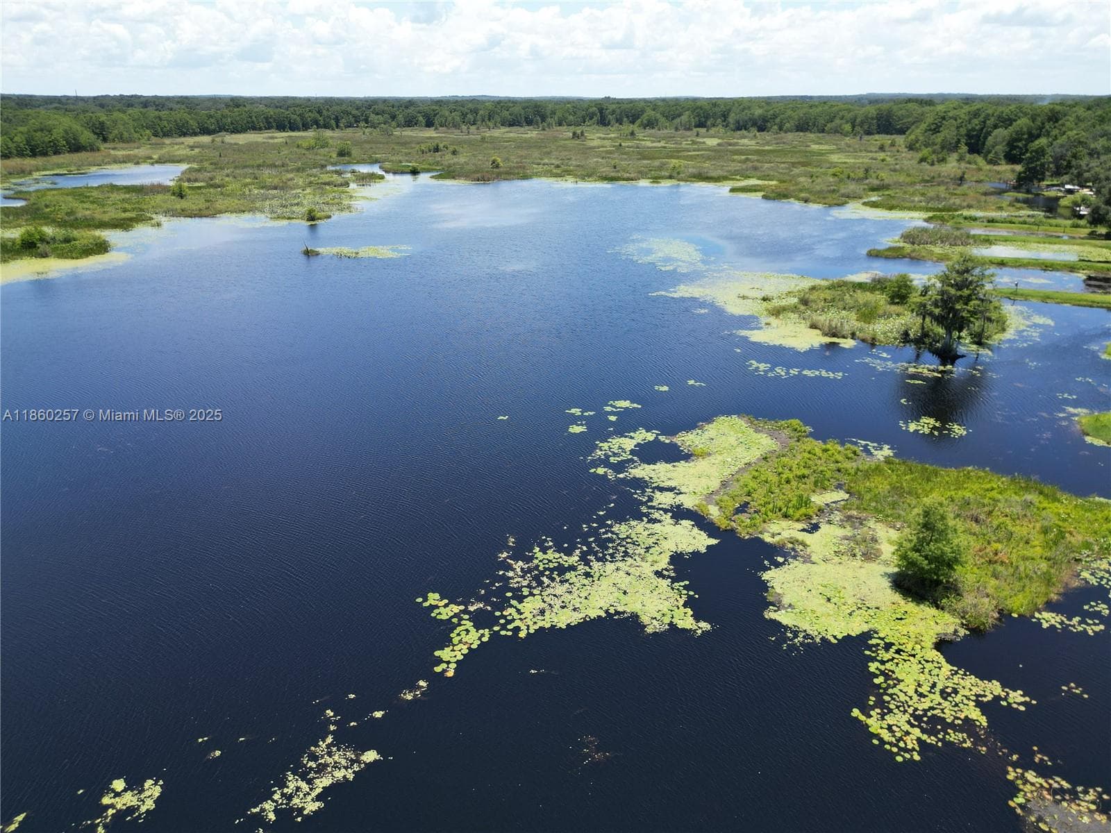 8781 S LAKESHORE DRIVE FLORAL CITY, Other City - In The State Of Florida, FL 34436 — zdjęcie 2