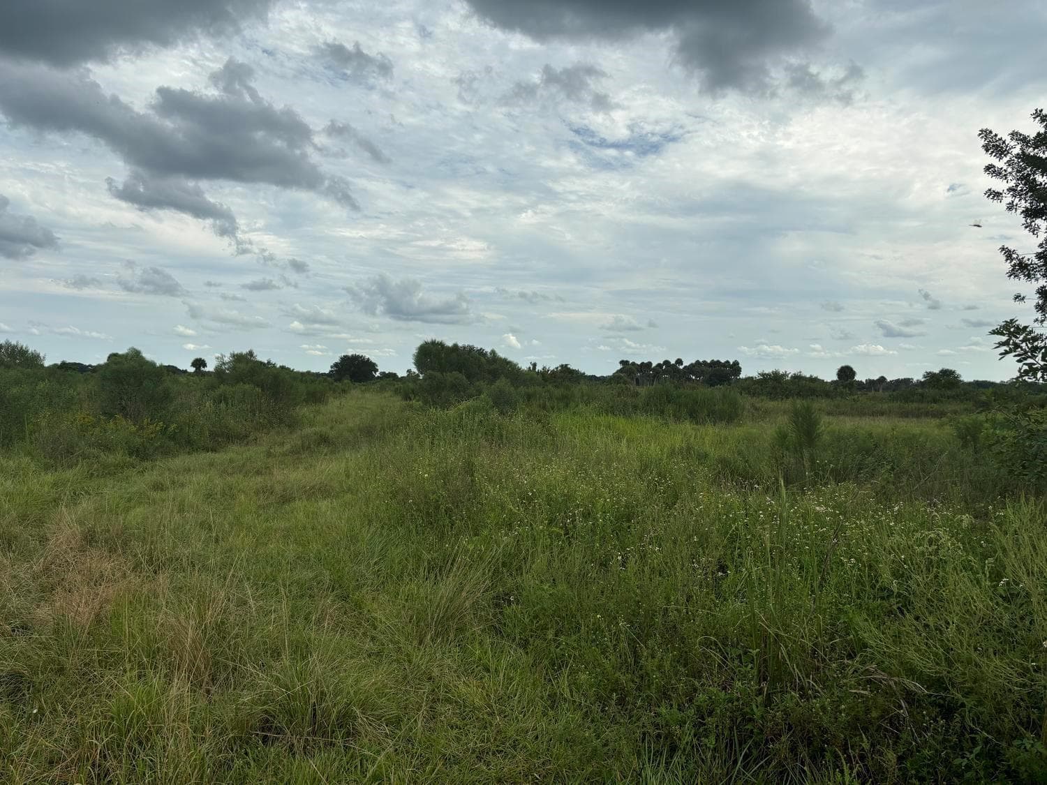 29800 NW 192nd Avenue, Okeechobee, FL 34972 — zdjęcie 2