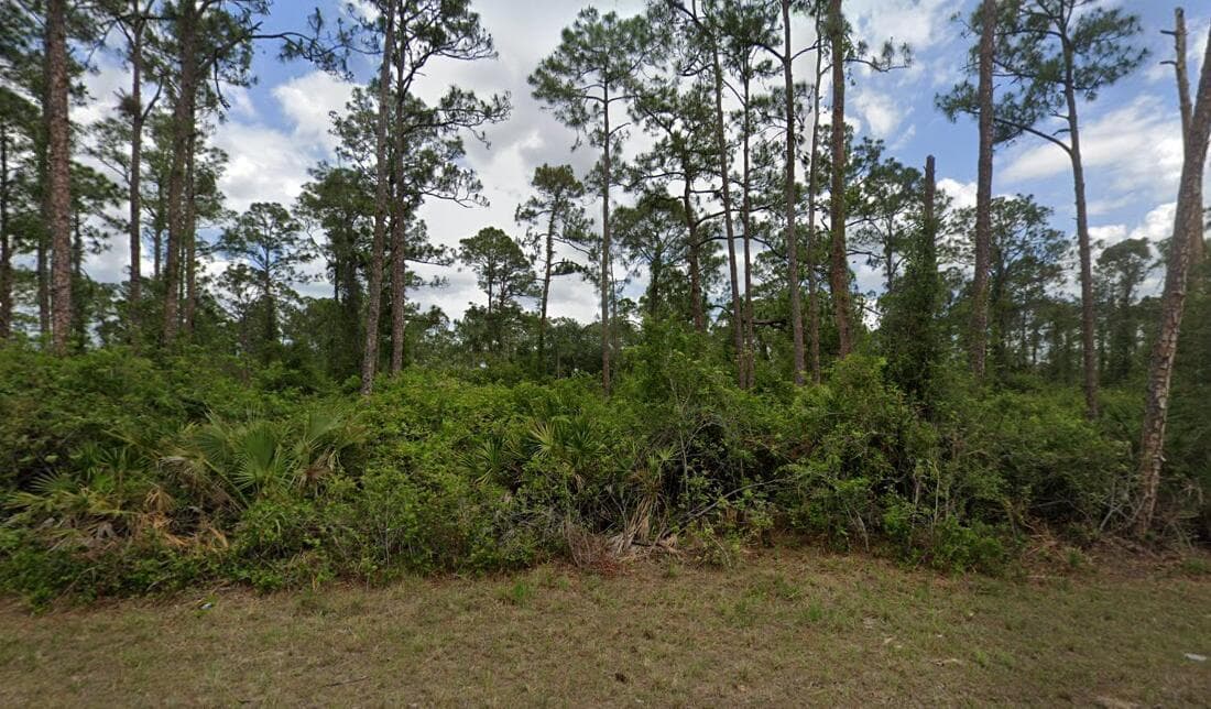 2018 Canton Avenue, FL 33920 — zdjęcie 2