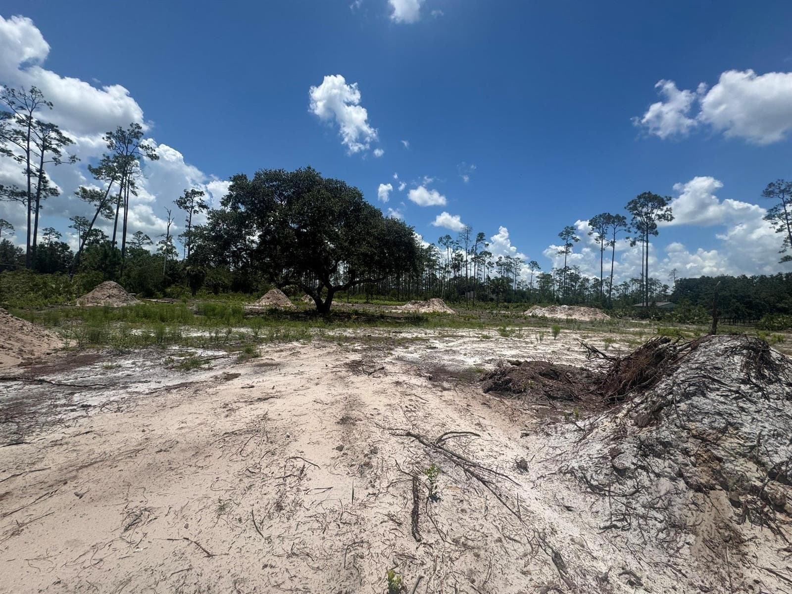 32801 Highway 441, Okeechobee, FL 34972 — zdjęcie 5