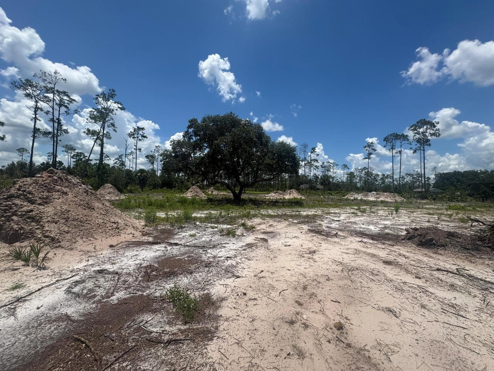 32801 Highway 441, Okeechobee, FL 34972 — zdjęcie 4