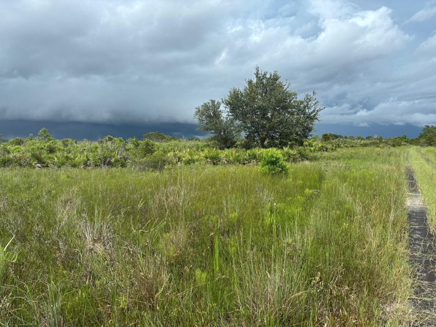 0 NW 312th Street, Okeechobee, FL 34972 — zdjęcie 2
