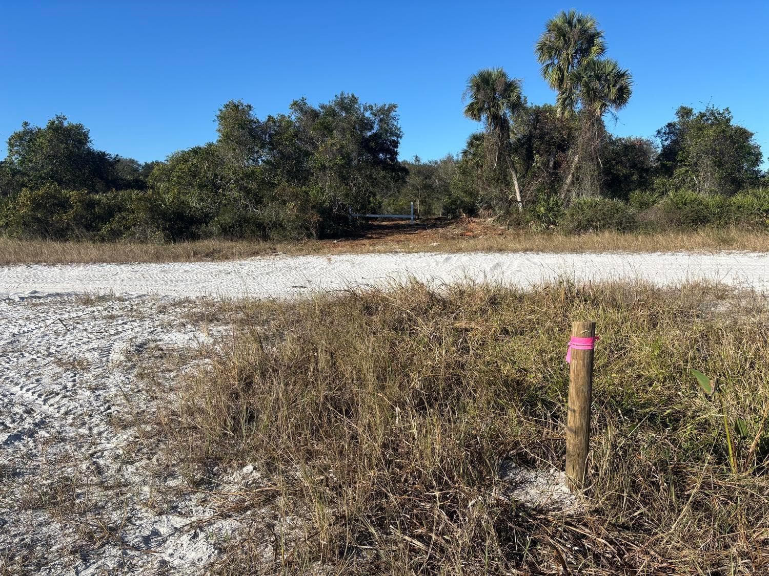 0 NW 296th Street, Okeechobee, FL 34972 — zdjęcie 3
