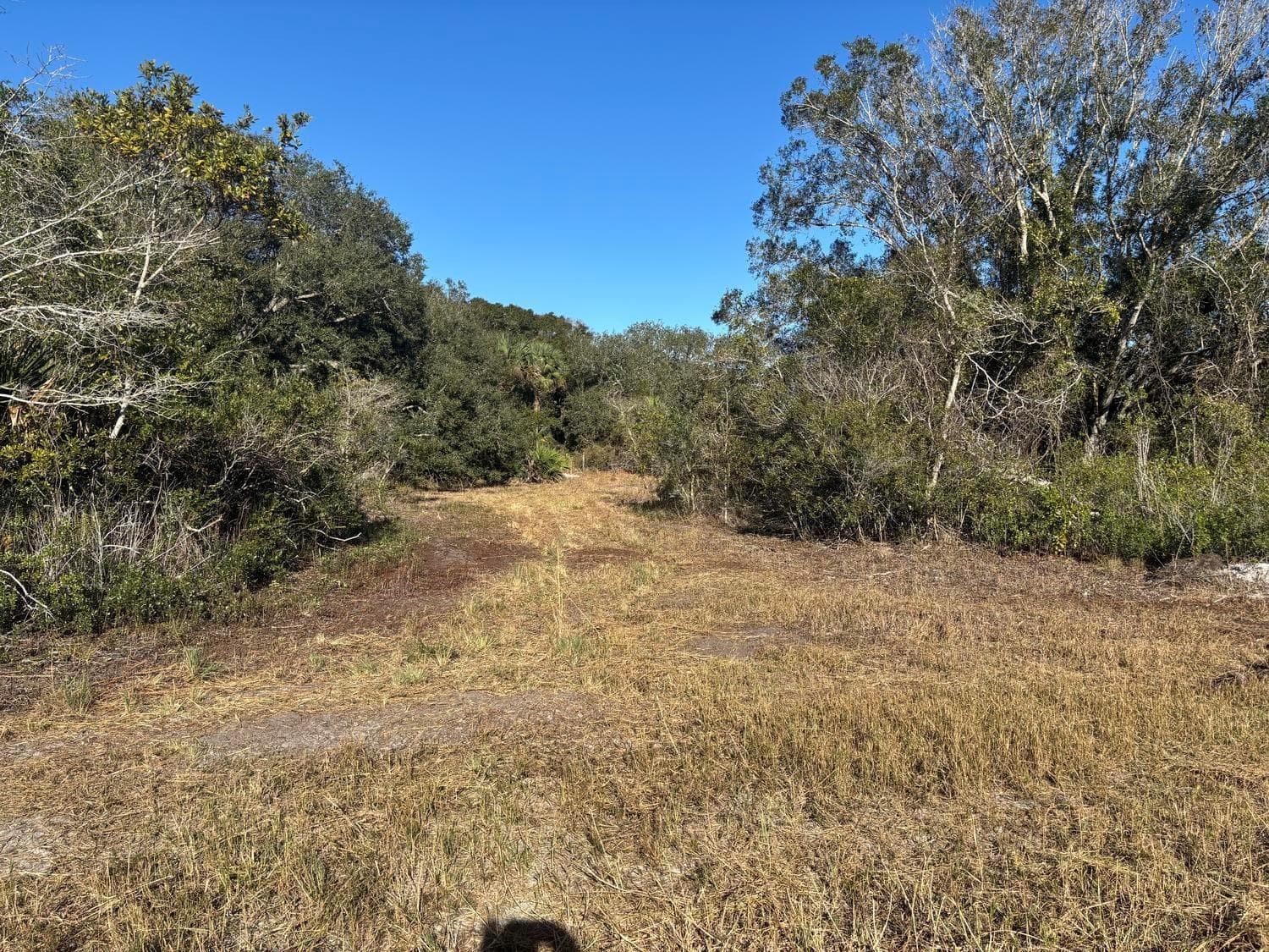 0 NW 296th Street, Okeechobee, FL 34972 — zdjęcie 4