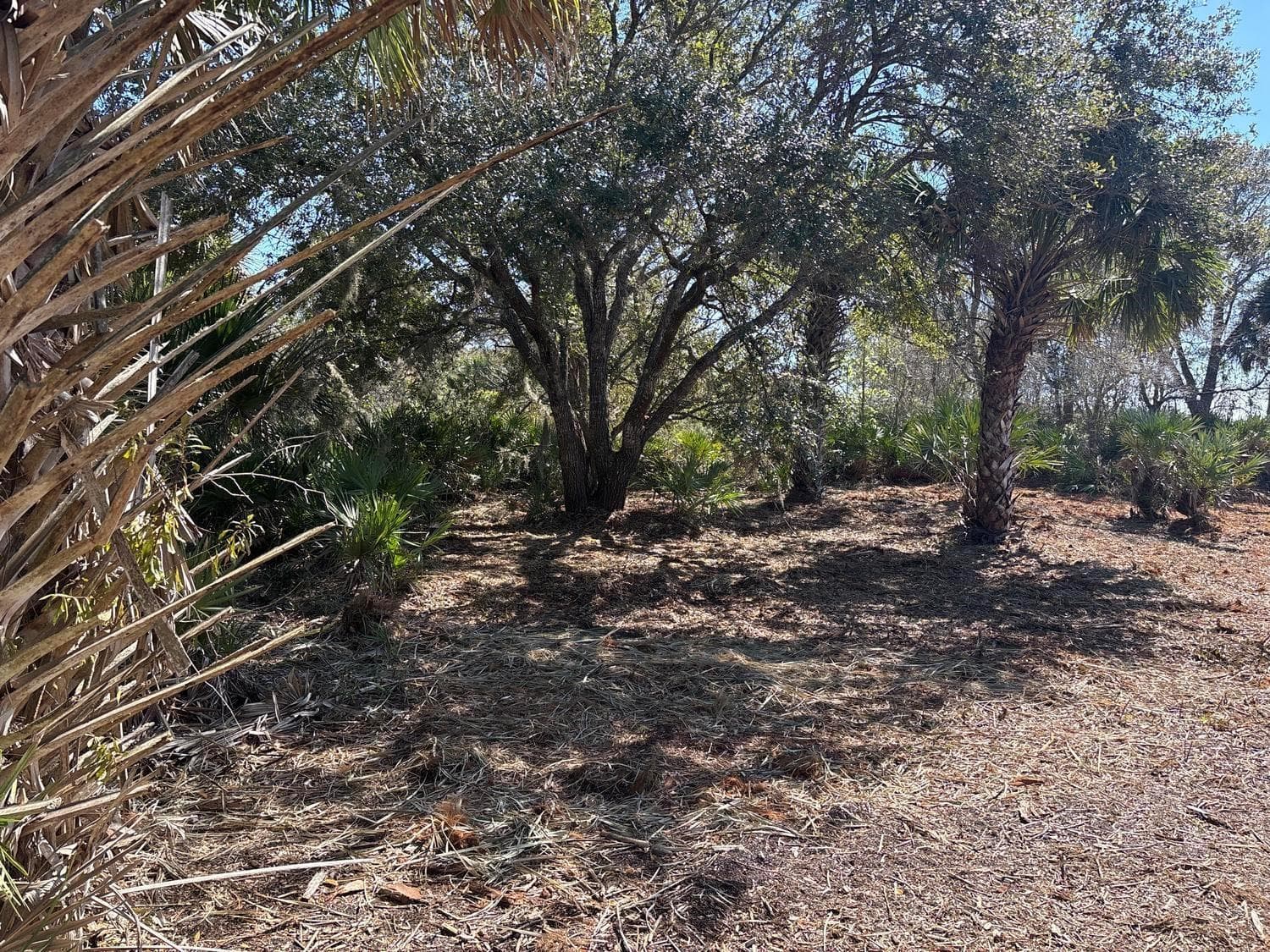 0 NW 304th Street, Okeechobee, FL 34972 — zdjęcie 3