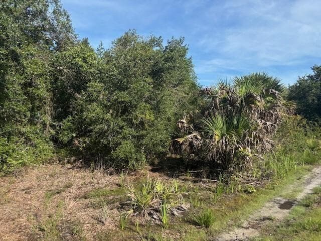 0 NW 304th Street, Okeechobee, FL 34972 — zdjęcie 2