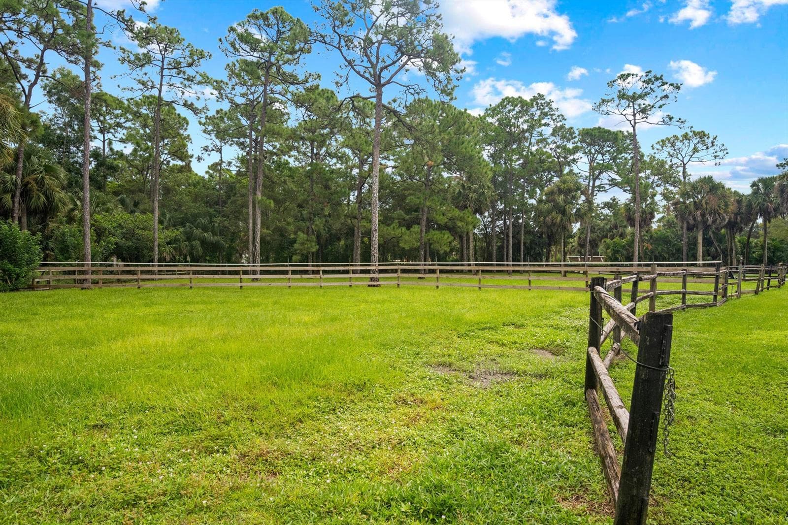 2915 Doe Trail, FL 33470 — zdjęcie 5