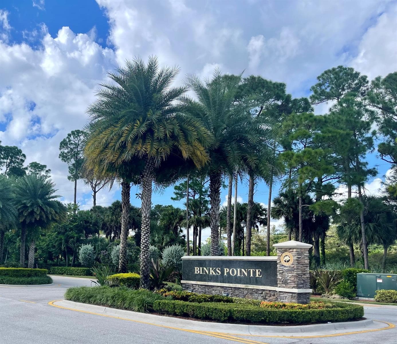 151 Sword Fern Place, Wellington, FL 33414 — zdjęcie 4