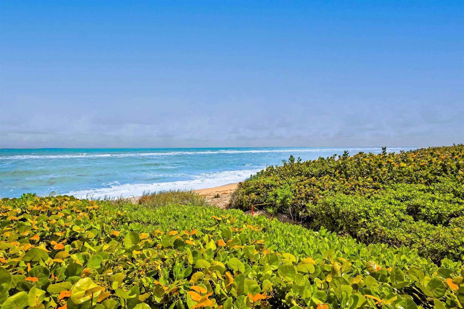 420 Celestial Way # 204, Juno Beach, FL 33408 — zdjęcie 4