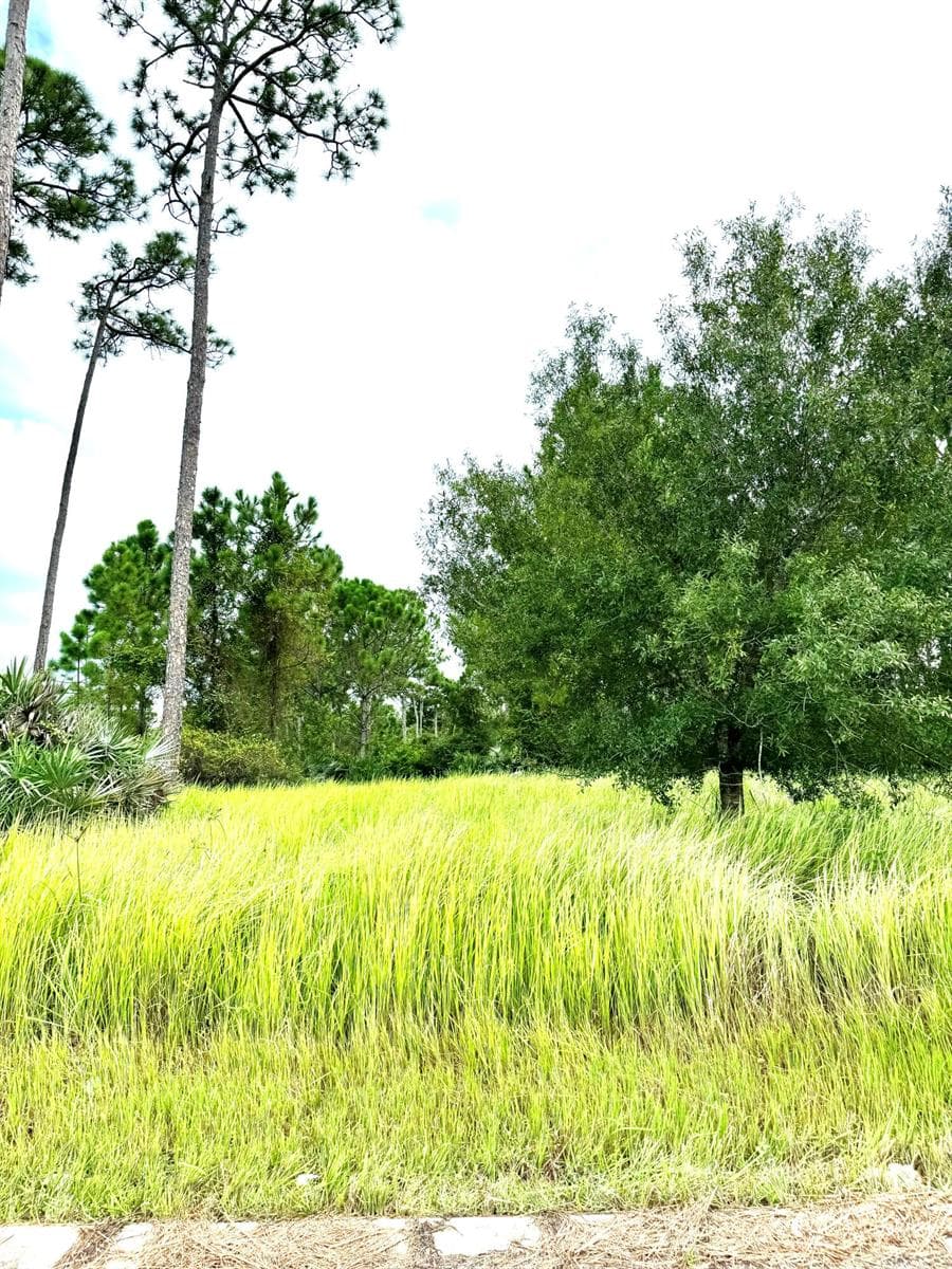 10615 Sugar Pine Drive, Fort Pierce, FL 34945 — zdjęcie 2