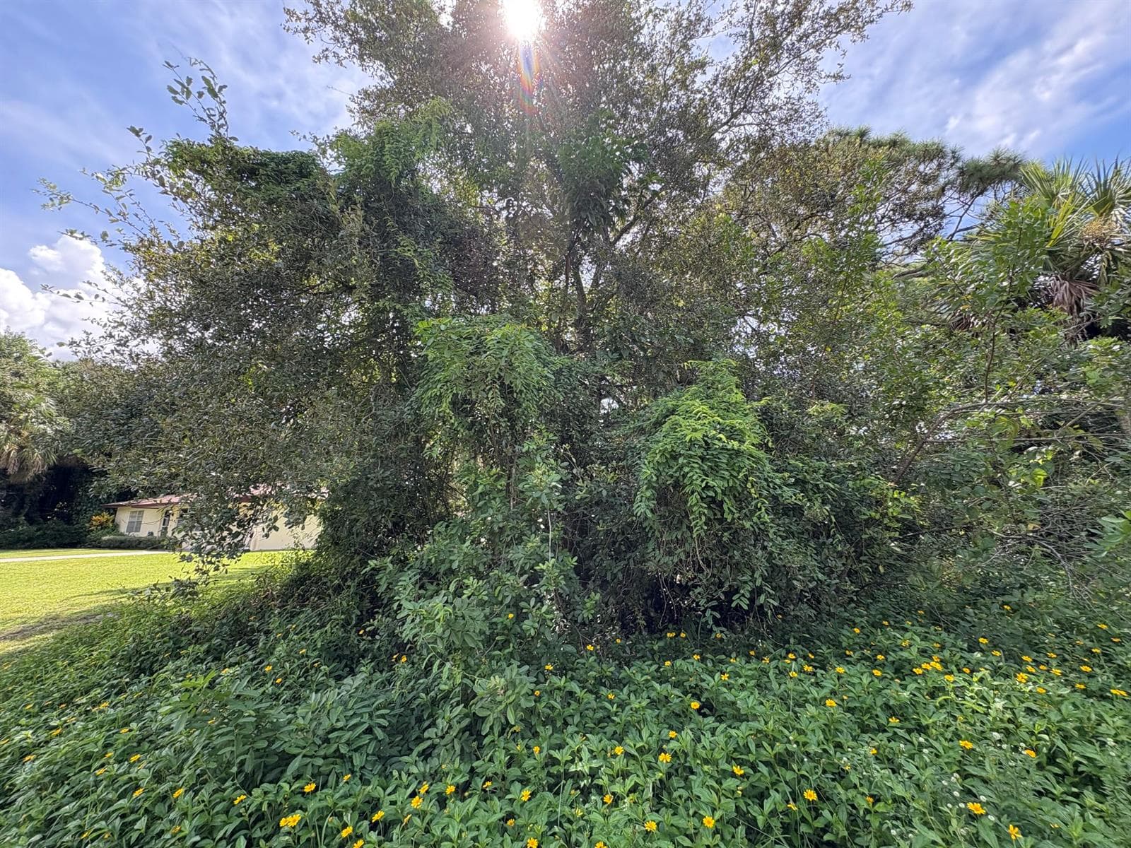 Tbd Santa Clara Boulevard, Port St. Lucie, FL 34951