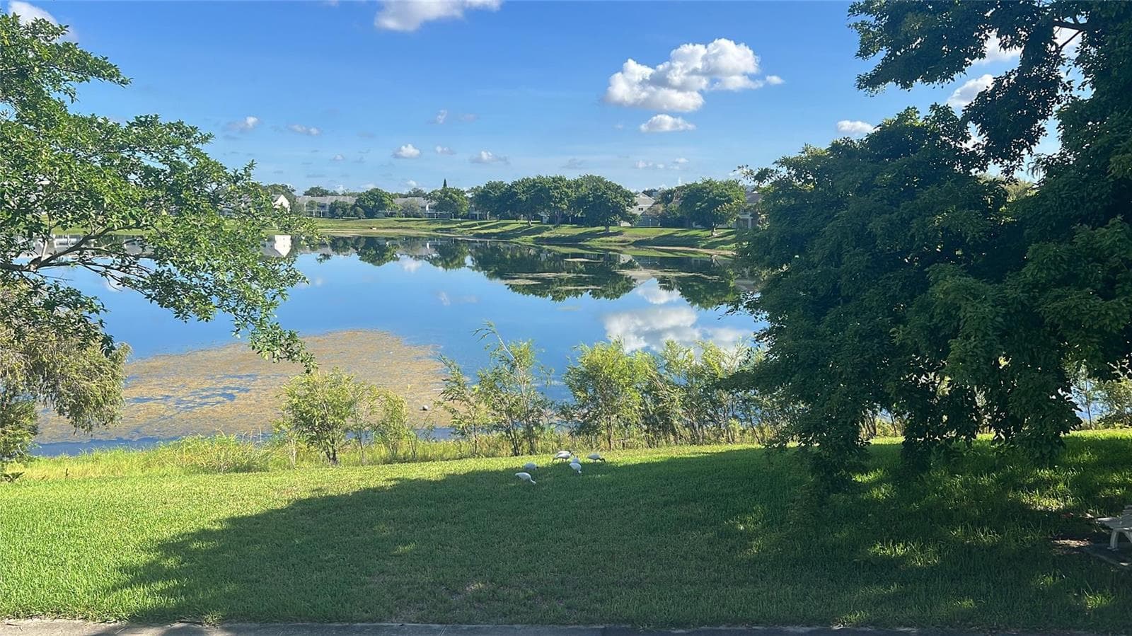 3421 NW 44th Street # 205, Lauderdale Lakes, FL 33309 — zdjęcie 5