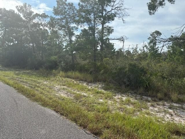 533 Boylston Street, Lake Placid, FL 33852 — zdjęcie 2