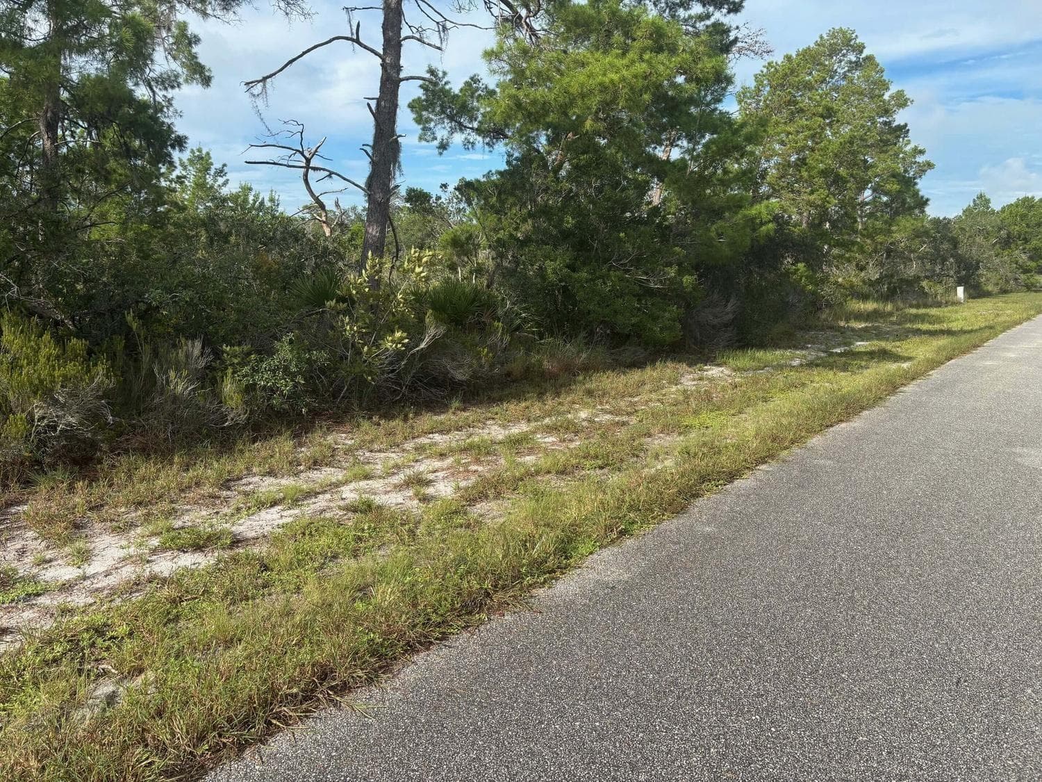 635 Boylston Street, Lake Placid, FL 33852 — zdjęcie 2