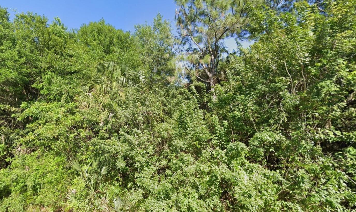4702 Vera Avenue, Lehigh Acres, FL 33971 — zdjęcie 3