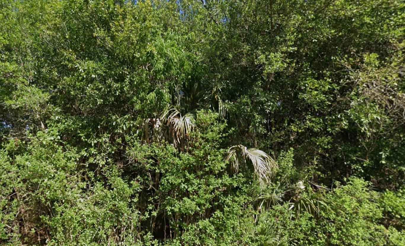 4702 Vera Avenue, Lehigh Acres, FL 33971 — zdjęcie 4