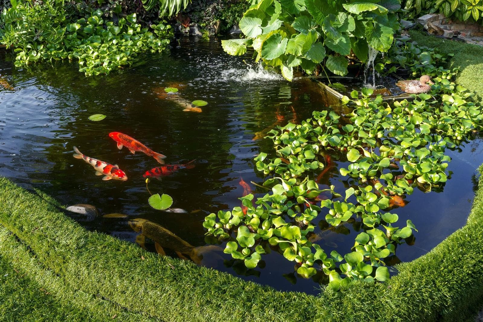 5973 SW 54th Court, Davie, FL 33314 — zdjęcie 5