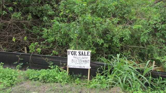 16750 SW Conners Highway, Okeechobee, FL 34974 — zdjęcie 2