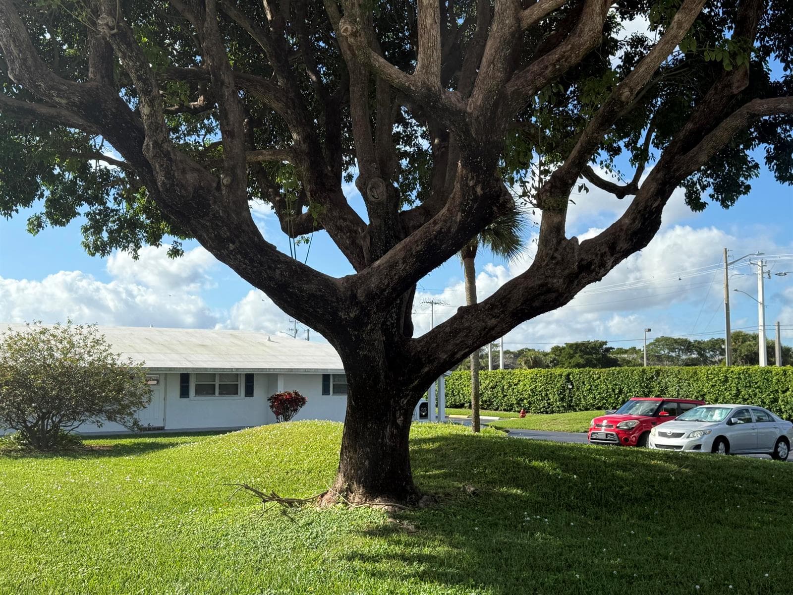300 SW Golfview Terrace # 152, Boynton Beach, FL 33426 — zdjęcie 2