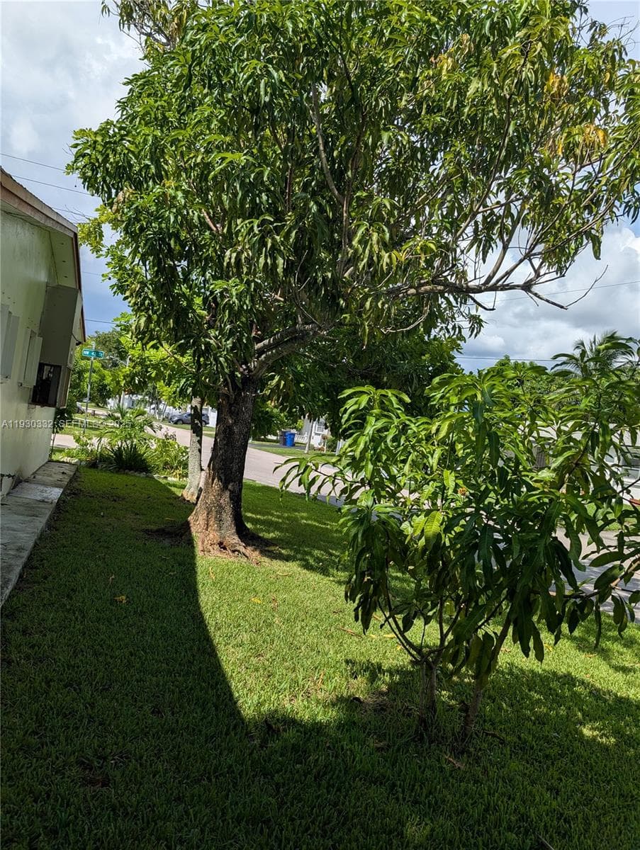 4550 NW 43rd St, Lauderdale Lakes, FL 33319 — zdjęcie 5