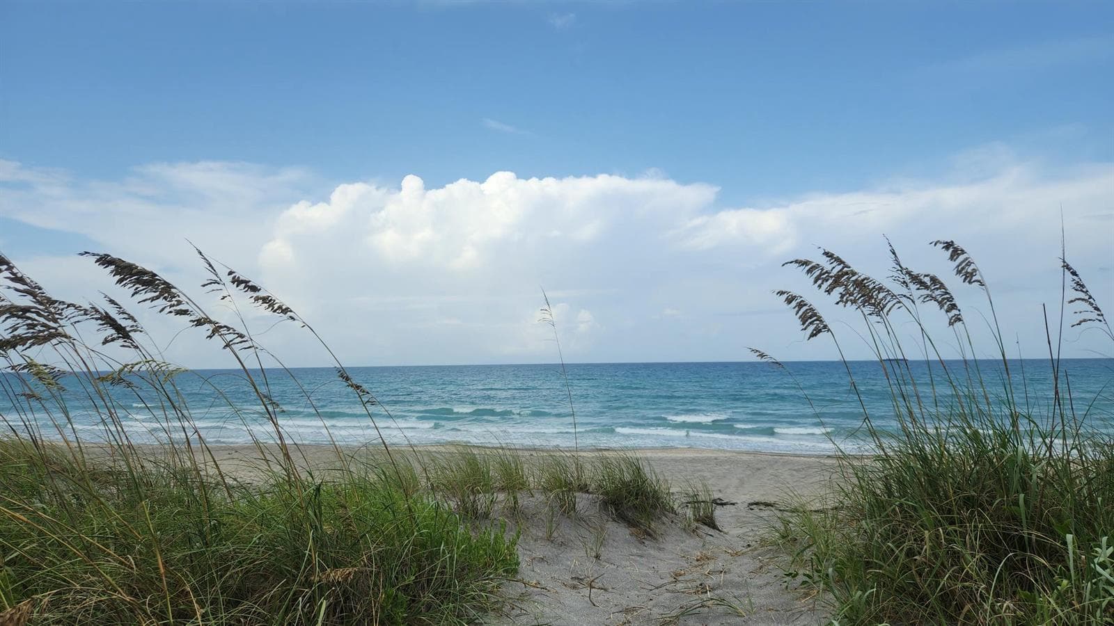 115 Olympus Way, Jupiter, FL 33477 — zdjęcie 3
