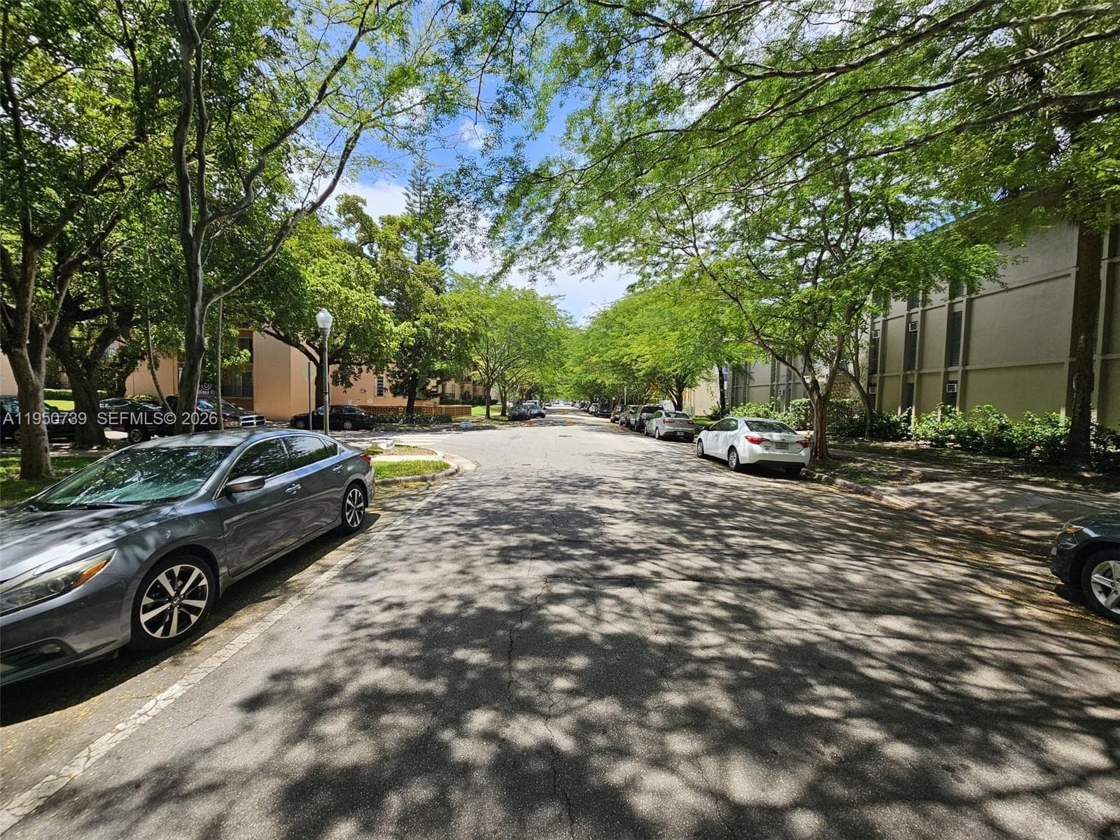 235 Antilla Ave # 4, Coral Gables, FL 33134 — zdjęcie 3