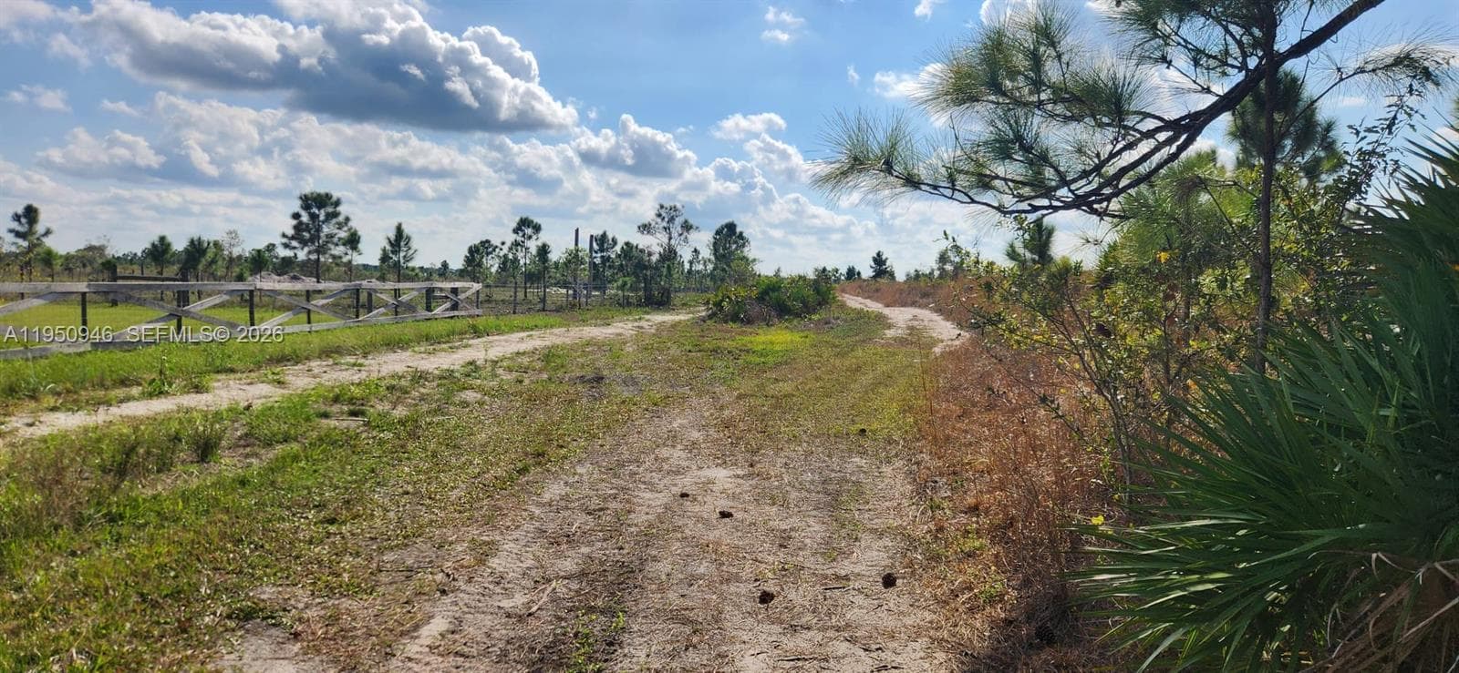 48345 Bermont Rd, Punta Gorda, FL 33982 — zdjęcie 5